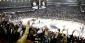 The Craziest Hockey Fan Moments in the History of the NHL