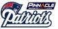 Bet on New England Patriots at Pinnacle Sports!