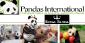 Royal Panda Casino Promises to Help Panda Improve Its Odds