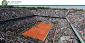 The French Open (Roland Garros)