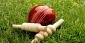 Sri Lankan Bettor Suffers Heart Attack After India Lost to Sri Lanka on Cricket