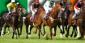 Economist Recommends Licensing and Levying Internet Horse Betting in Ireland