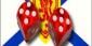Nova Scotia Premier Rejects Online Gambling