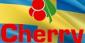 Swedish Cherryföretagen CEO Quits the Company