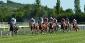 Federal Charges in Horse Race Doping Scheme