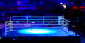 Tony Harrison vs Jermell Charlo Odds – Charlo to Take Back His WBC Title