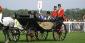 Bookies Failed Underage Betting Test at Royal Ascot