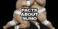 Interesting Facts About Sumo