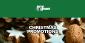 Mr Green Casino Christmas Promotions – €1 Million in Festive Rewards