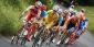 Cycling betting tips from real professionals