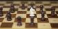 Odd 2021 World Chess Championship Odds Offer Up Opportunity
