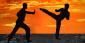 Is The Death Touch Real? – Martial Arts