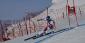 2022 Wengen Slalom Odds Mention Noel as Top Favorite