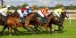 Horse Racing Betting Guide – Not As Hard As You Think
