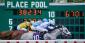 Illegal Horse Betting in Singapore: 89 People Investigated