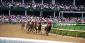 Kentucky Derby Betting Records: Epic Winnings