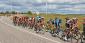 The Best Betting Guide for Cycling