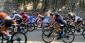 2022 Road Race World Championship Odds for the Men’s Road Race