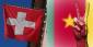 Switzerland v Cameroon Odds: The Group Group G Fight