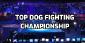 Top Dog Fighting Championship Betting Odds – Easy Betting Guide
