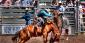 Rodeo Betting Guide – How to Bet on the Rodeo
