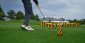 Happy Gilmore 2 Odds – How To Bet On Movie Releases Online?