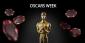 Hollywood’s High Stakes: Oscars Week Poker Tournaments at Everygame
