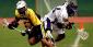 Premier Lacrosse League 2025 Betting Tips and Odds This Year