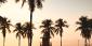 The New Owner Of Rio Las Vegas: What Can You Expect Soon?