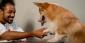Can a Dog Beat a Casino through Pure Luck or Skill?