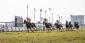 Racetracks In Canada For Betting: Pick The Most Fitting Tracks!