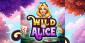 Plunder Wonderland with the Exclusive WILD Alice Slot Bonus at Everygame