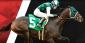 Beat the Vig with the Daily Cashback on Horse Races at betOnline