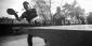 Why Betting on Table Tennis is a Sports Bettor’s Hidden Gem