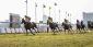 How to Make a Profit by Betting on the 2026 Breeders Cup