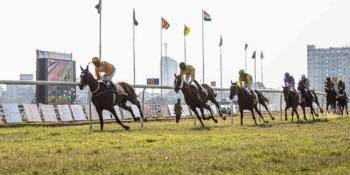 How to Make a Profit by Betting on the 2026 Breeders Cup