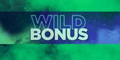 Wild Bonus at Omni Slots Casino: Get 20% – 80% Bonus