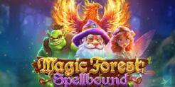 Magic Forest: Spellbound Slot Bonus at Everygame Casino — “Double the Magic, Double the Wins”
