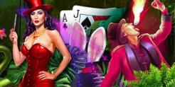 Stack Cash with Free Roll Tournaments at Wild Casino – Zero Risk, Real Rewards