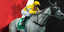 Hedge Your Action with Free Bets at the betOnline Racebook – $25 Risk-Free