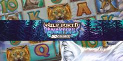 Brave the Cold with Wild North Radiant Skies Go Collect Free Spins at OmniSlots