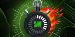 Claim Your Cut of the Daily Cash Tournament Promotion at Wild Casino – $15k Every 24 Hours