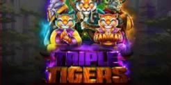 Unleash the Beast with the Triple Tigers Slot Bonus at Everygame Casino