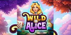 Plunder Wonderland with the Exclusive WILD Alice Slot Bonus at Everygame