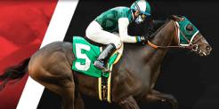 Beat the Vig with the Daily Cashback on Horse Races at betOnline