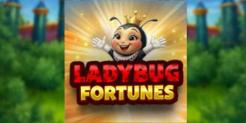Charm the Vault with the Exclusive Ladybug Fortunes Slot Bonus at Everygame Casino Classic