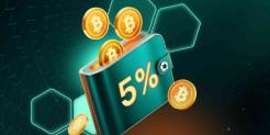 Maximize Your Bankroll with the Daily Crypto Deposit Bonus at Ivibet Casino