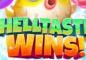 New Shelltastic Wins Slot at Everygame Casino: Win Up to $7,000