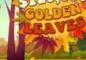$120,000 Golden Leaves: Weekly Giveaways at Everygame Casino — “Catch the Fall, Grab the Gold”