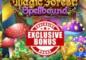 Exclusive Magic Forest: Spellbound Bonus at Everygame Casino — “Double the Magic, Double the Cash”